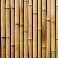 Bambus Balkon Sichtschutz