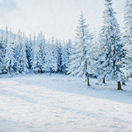 Winter Balkon Sichtschutz