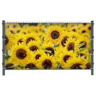 Sonnenblumen (3234) - Gartensichtschutz