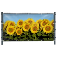 Sonnenblumen (3233) - Gartensichtschutz