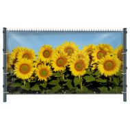 Sonnenblumen (3233) - Sichtschutz in Wunschgröße