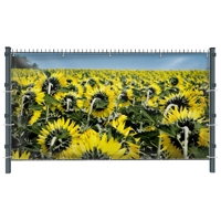 Sonnenblumen (3232) - Sichtschutz in Wunschgröße