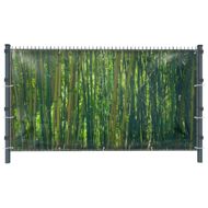 Bambus (3119) - Gartensichtschutz