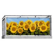 Sonnenblumen (3233) - Balkonsichtschutz