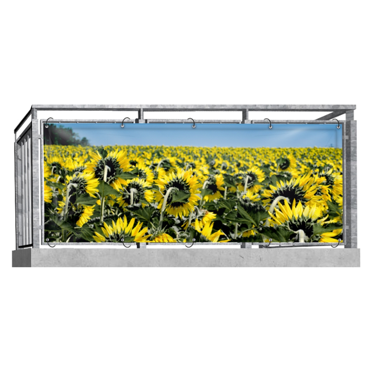 Sonnenblumen (3232) - Balkonsichtschutz