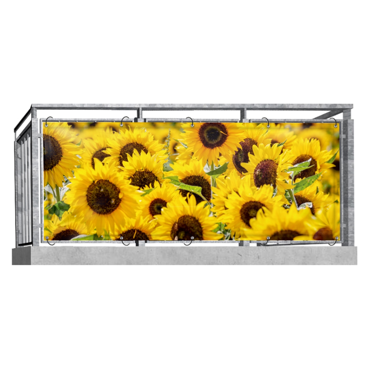 Sonnenblumen (3234) - Balkonsichtschutz