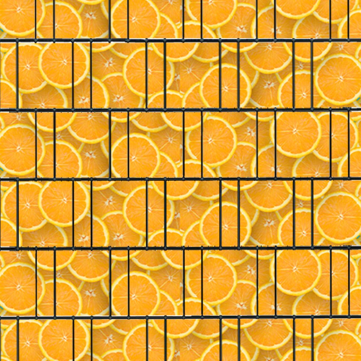 Orangen (4453) - Sichtschutzstreifen inkl. Clips