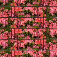 Blumen (4451) - Sichtschutzstreifen inkl. Clips