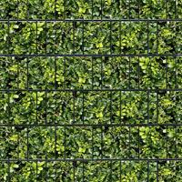 Hecke (4447) - Sichtschutzstreifen inkl. Clips