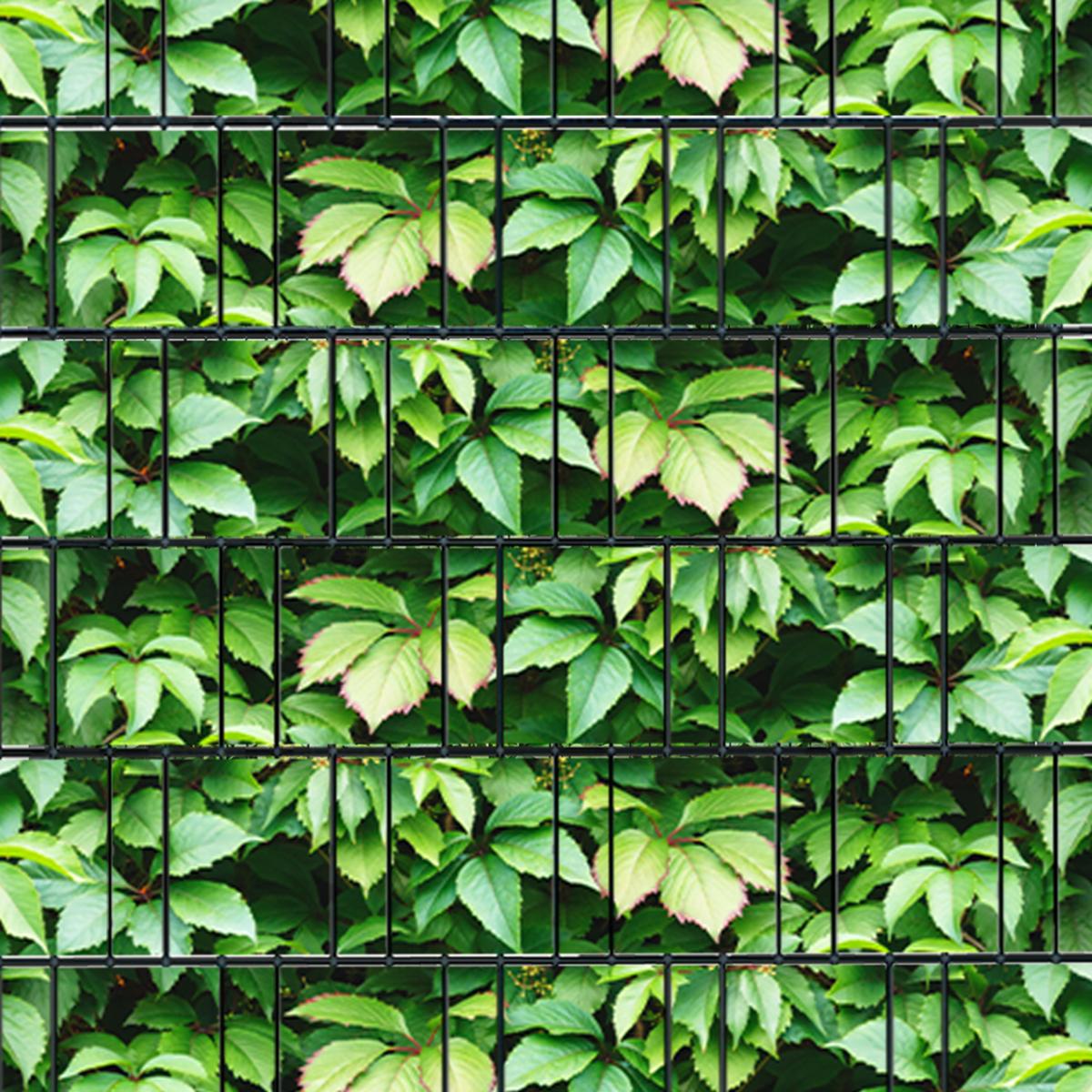 Hecke (4448) - Sichtschutzstreifen inkl. Clips