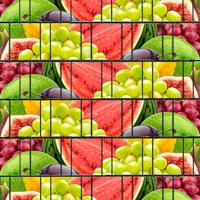 Früchte (4455) - Sichtschutzstreifen