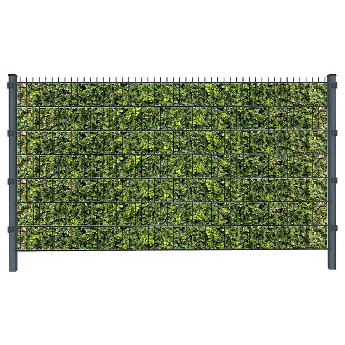 Hecke (4447) - Sichtschutzstreifen inkl. Clips