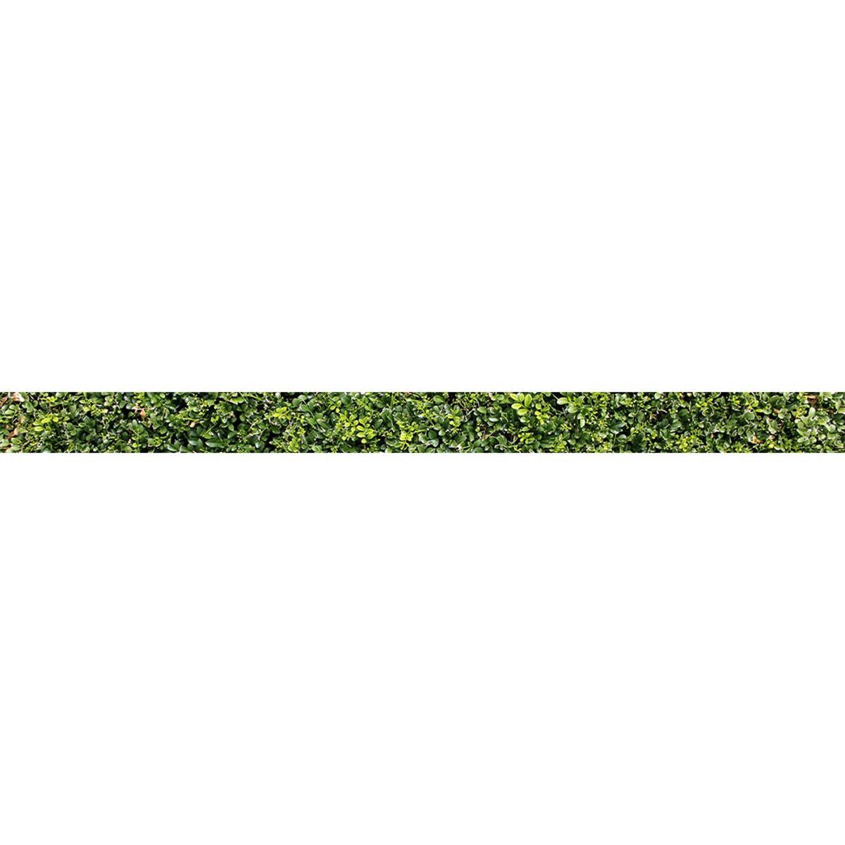 Hecke (4447) - Sichtschutzstreifen inkl. Clips