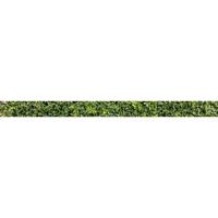 Hecke (4447) - Sichtschutzstreifen inkl. Clips