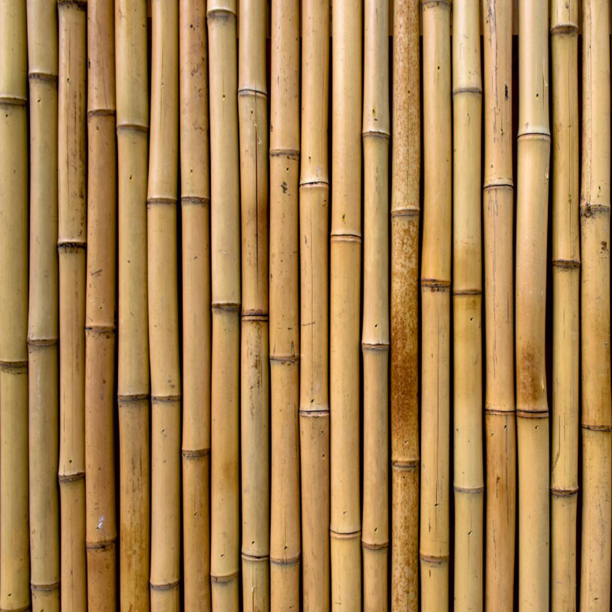 Bambus (1617) - Camping-Markise, Sonnenblende
