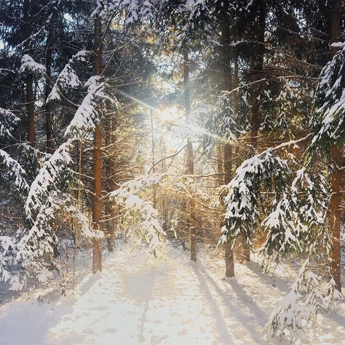Winterlandschaft (4070) - Camping-Markise, Sonnenblende